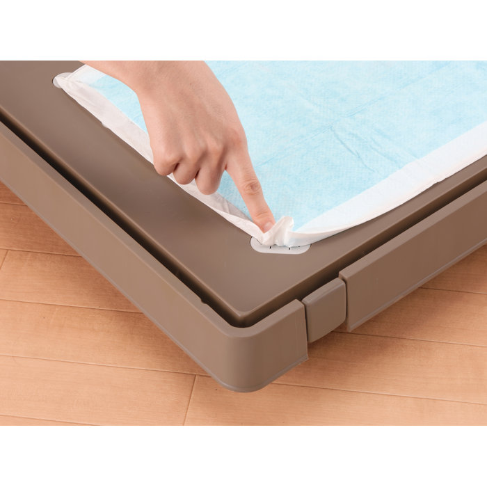 Richell Pet Training Kennel & Reviews Wayfair